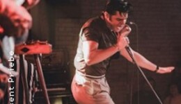 The Elvis Presley Show